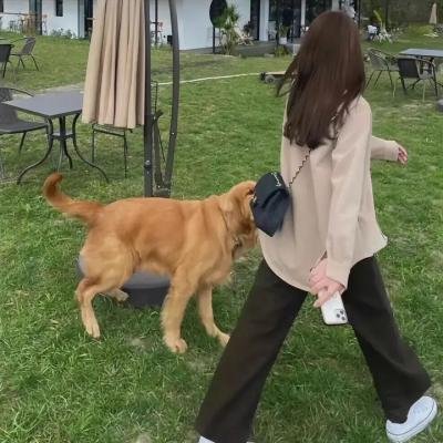 悬疑推理